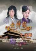 《女神捕之迷局》海报