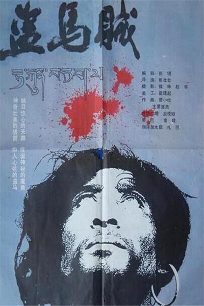 《盗马贼》海报