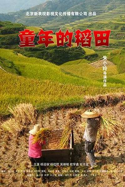 《童年的稻田》海报