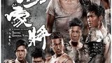 《忠烈杨家将》海报