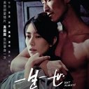 《一生一世》海报