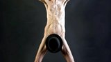 哈维尔·博特 Javier Botet