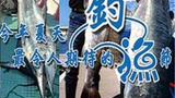 《宝岛渔很大》海报