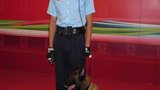 《警犬巴打》发布会