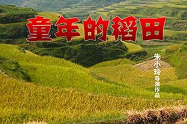 《童年的稻田》海报