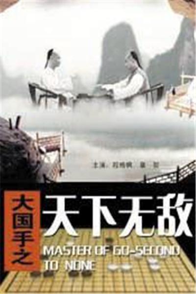 《大国手之天下无敌》海报