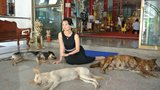 李赛凤 Moon Lee
