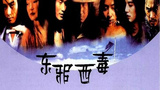 《东邪西毒》海报