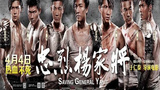 《忠烈杨家将》海报
