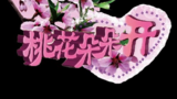 《桃花朵朵开》海报