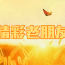 《精彩老朋友》海报