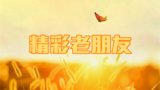 《精彩老朋友》海报