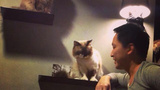 钱人豪 Jen-hao Chie