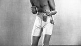 埃罗尔·弗林 Errol Flynn