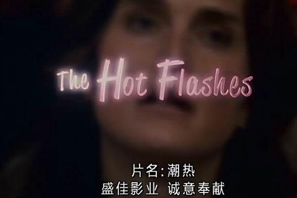 《女人四十一枝花》海报