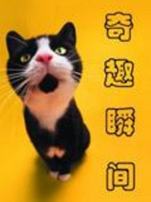奇趣瞬间