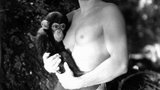 约翰尼·韦斯默勒 Johnny Weissmuller