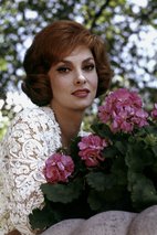 吉娜·劳洛勃丽吉达 Gina Lollobrigida
