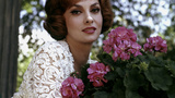 吉娜·劳洛勃丽吉达 Gina Lollobrigida