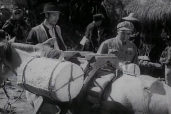 《神秘的旅伴》剧照