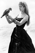 碧姬·芭铎 Brigitte Bardot