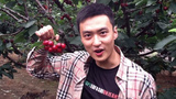 万沛鑫 Peixin Wan