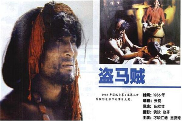 《盗马贼》海报