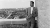 威廉·霍尔登 William Holden