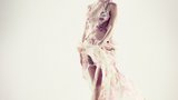莉莉·科尔 Lily Cole