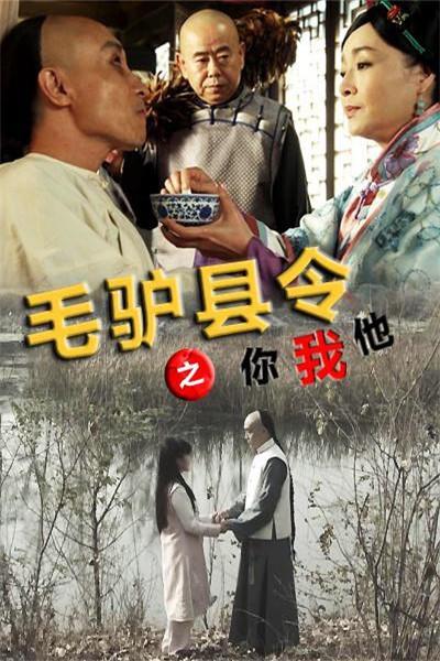 《毛驴县令之你我他》海报