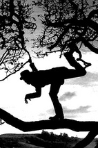 汤姆·威兹 Tom Waits