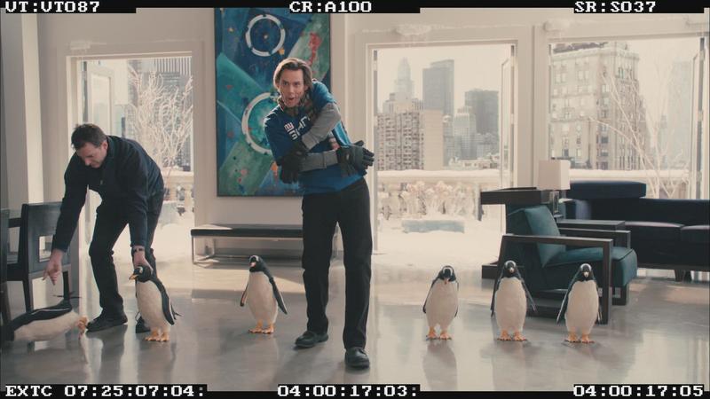 波普先生的企鹅 Mr. Popper's Penguins的剧照