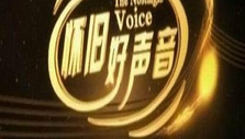 《怀旧好声音》海报