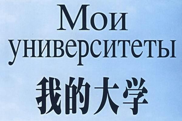 《我的大学》海报