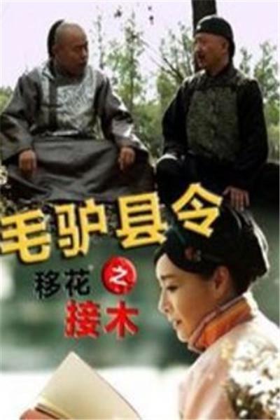 《毛驴县令之移花接木》海报
