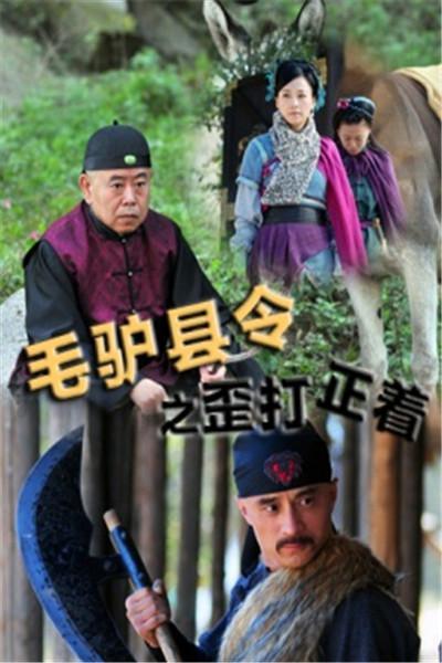 《毛驴县令之歪打正着》海报