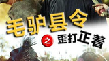 《毛驴县令之歪打正着》海报