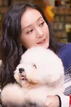 人不如狗系列