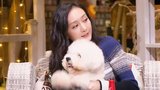 人不如狗系列