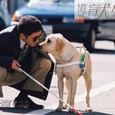 导盲犬小Q