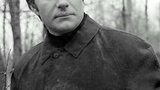 安德烈·米罗诺夫 Andrei Mironov