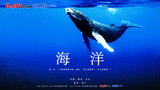 《海洋》海报