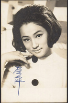 秦萍 Ping Chin