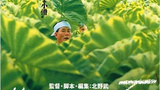 《菊次郎的夏天》海报