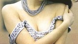 陈宝莲 Pauline Chan
