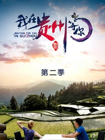 我在贵州等你第二季