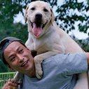 导盲犬小Q