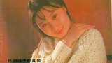 丁岚 Lan Ding