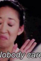 吴珊卓 Sandra Oh