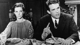 天涯何处觅知音 Splendor in the Grass的剧照